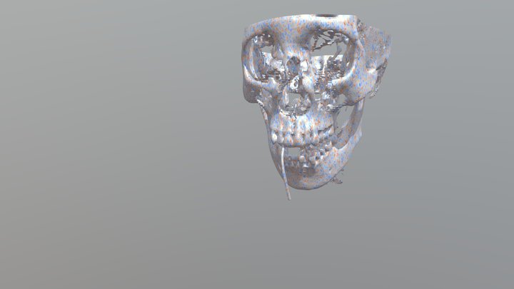 headsqi 3D Model