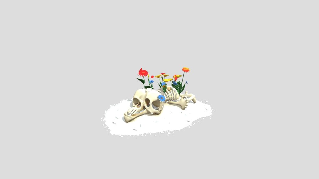Human Remains