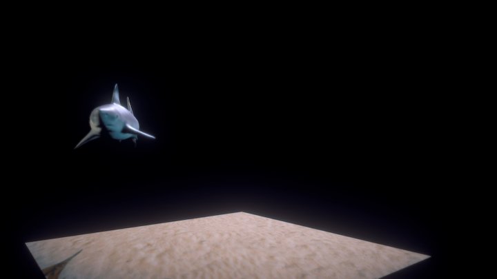 Black tip shark 3D Model