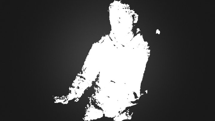 My_new_scan 3D Model