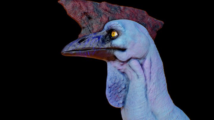 BIRB ANIMATED – Modello 3D gratuito STL