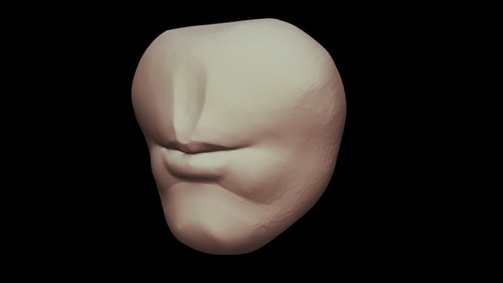Mouth | Anatomy Practice 3D Model