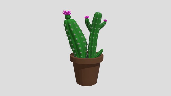 Cactus 3D Model