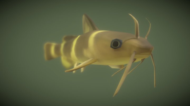 Korean Stumpy Bullhead 3D Model