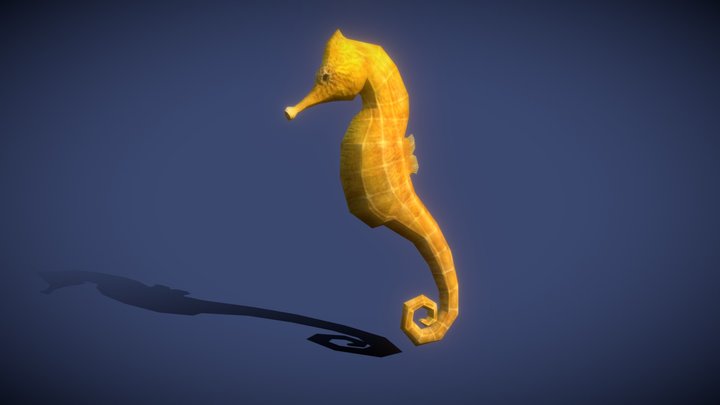Sealife - Seahorse 3D Model