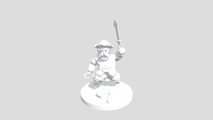 Para- Pirate 3D Model