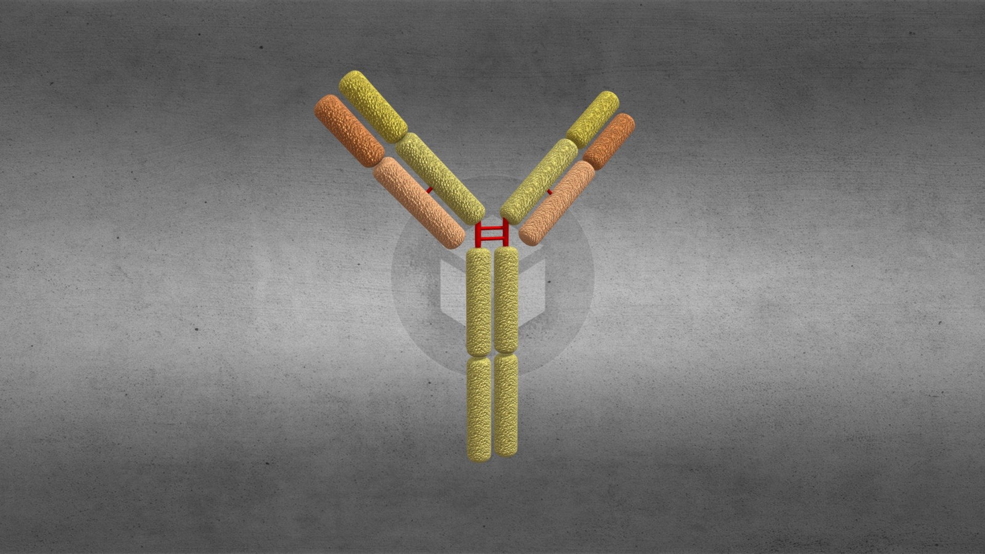 Antibodies IgD
