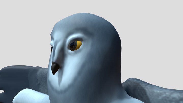 P07_Finalcolor 3D Model