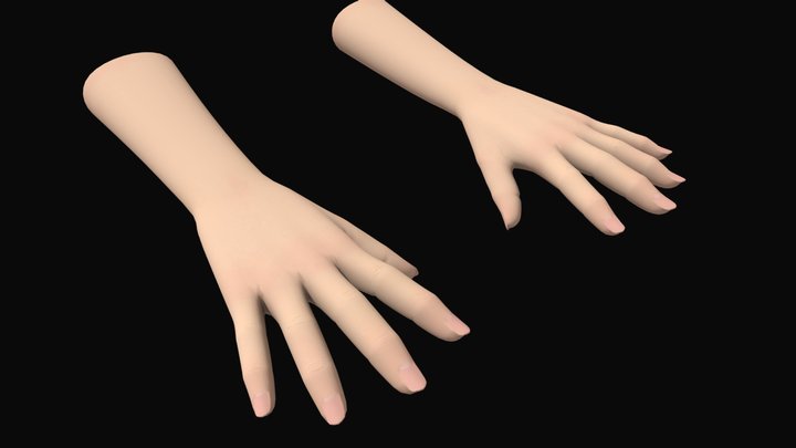 Female Hands - First Person Games 3D Model