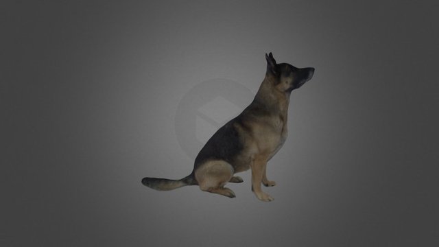 Tessa Sit! 3D Model