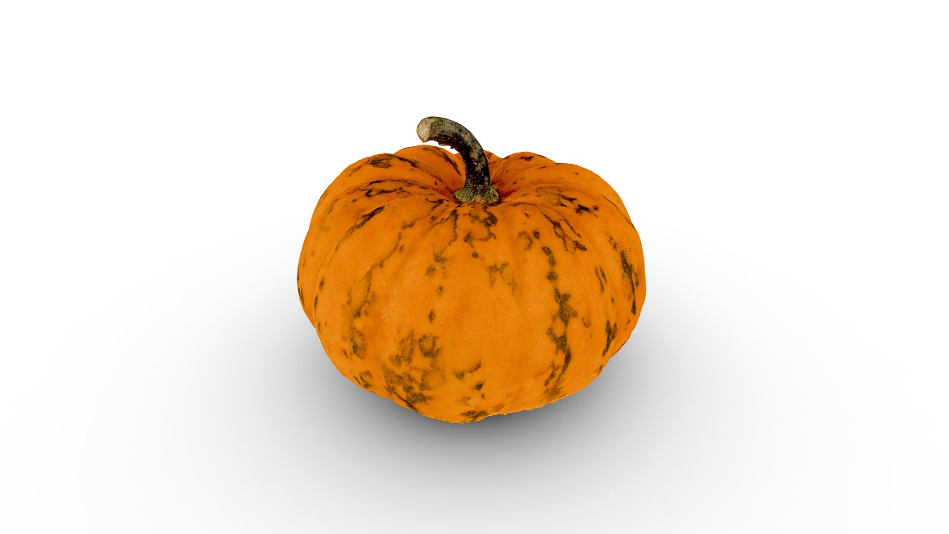 Small pumpkin