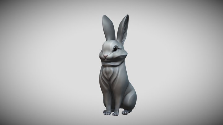 Rabbit 3D Model