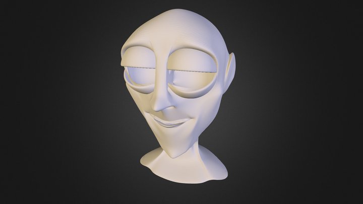 Character Model Face 3D Model