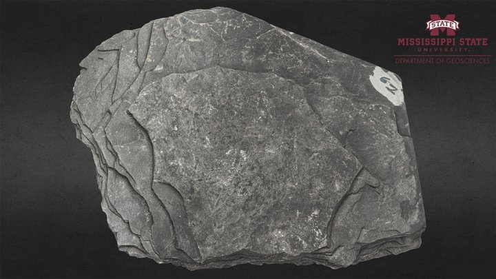 Slate 점판암 (high quality) 3D Model
