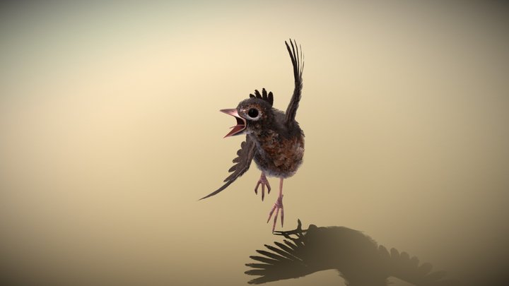 Baby Robin Posed 3D Model