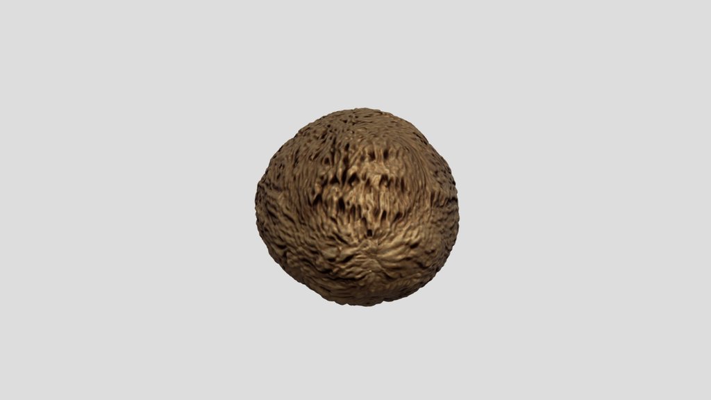 buah pala