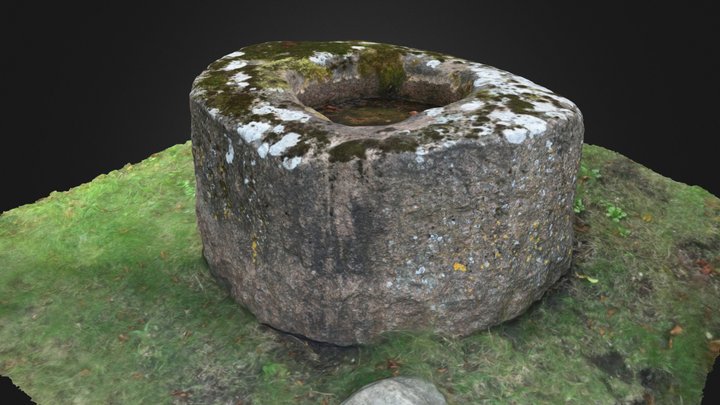 Alsunga Stone with bowl-shaped hollow 3D Model