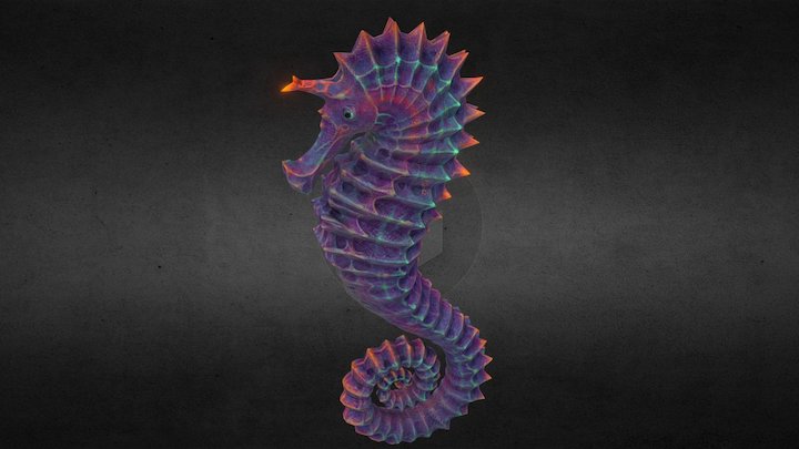 Seaunicorn 3D Model