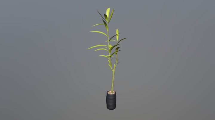 Plant Smooth 3D Model