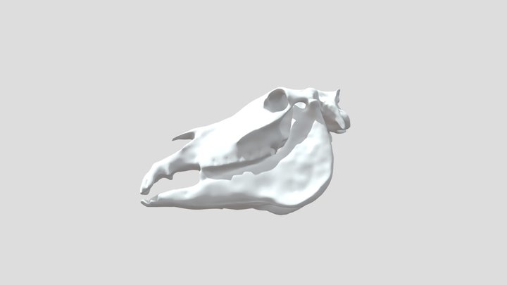 7avr_à2-48PM-poly 3D Model