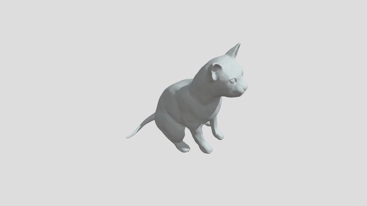Cat first sculpt 3D Model