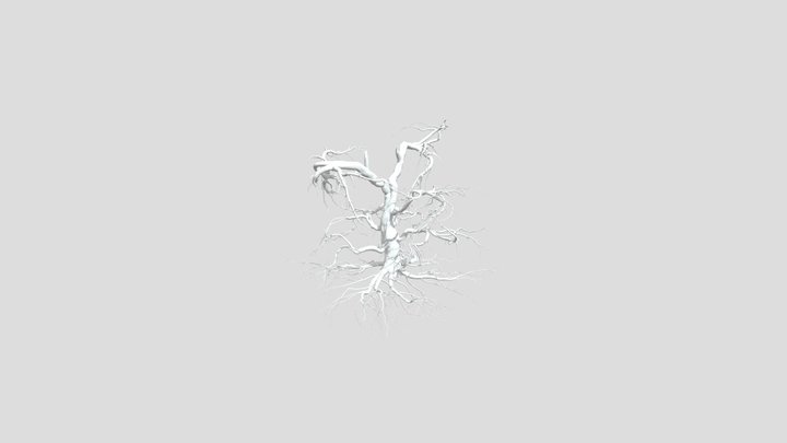 Sj Broken Tree Without Leaves