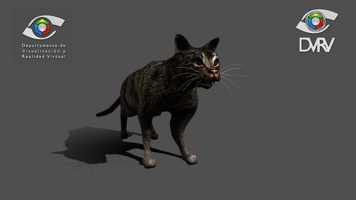 El Gato 3D Model (FREE)