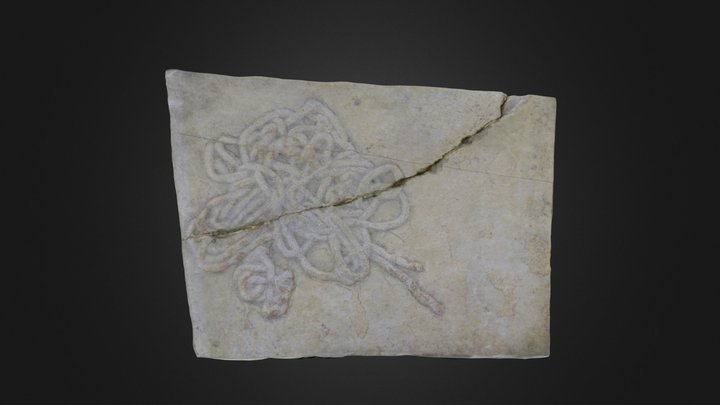 Trace fossil: Lumbricaria coprolite (PRI 76858) – Free 3D Model STL