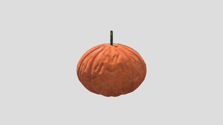 Pumpkin Speedmodel 3D Model
