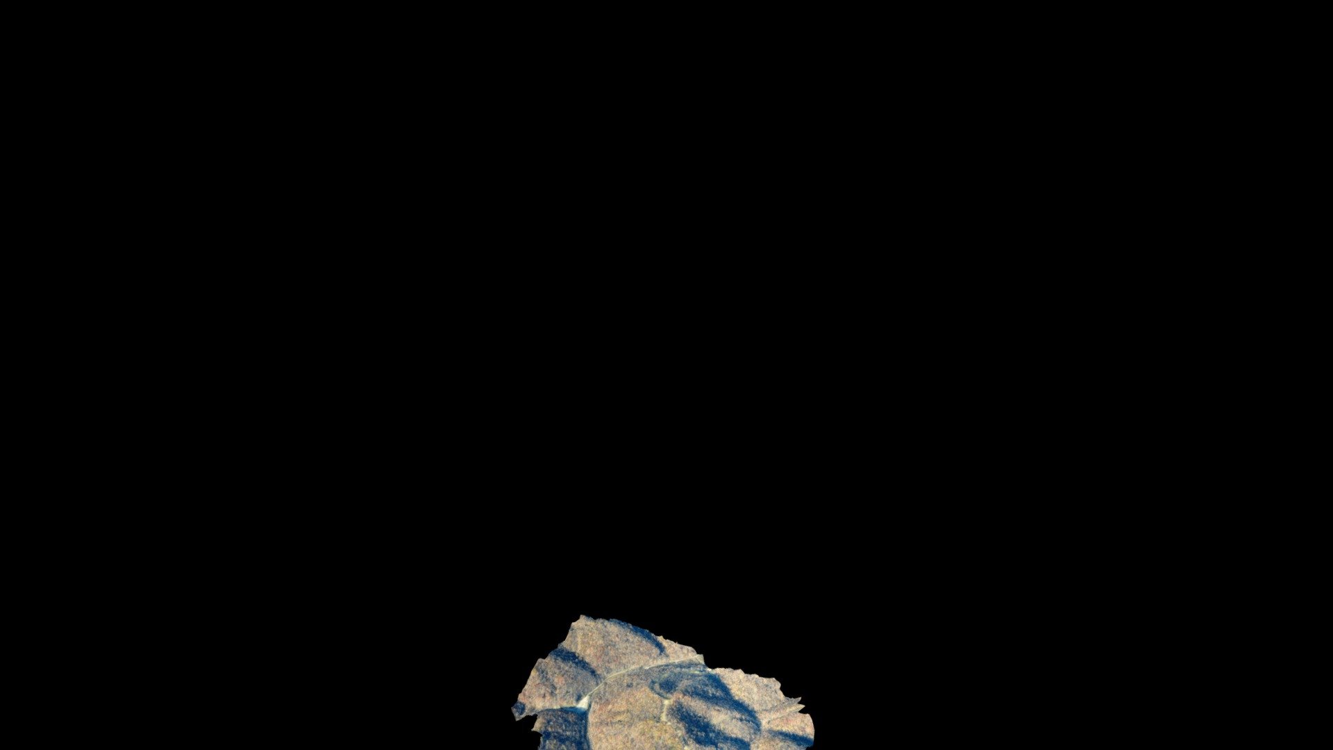 028_MW_Fall2019_WV_F_16_20191102