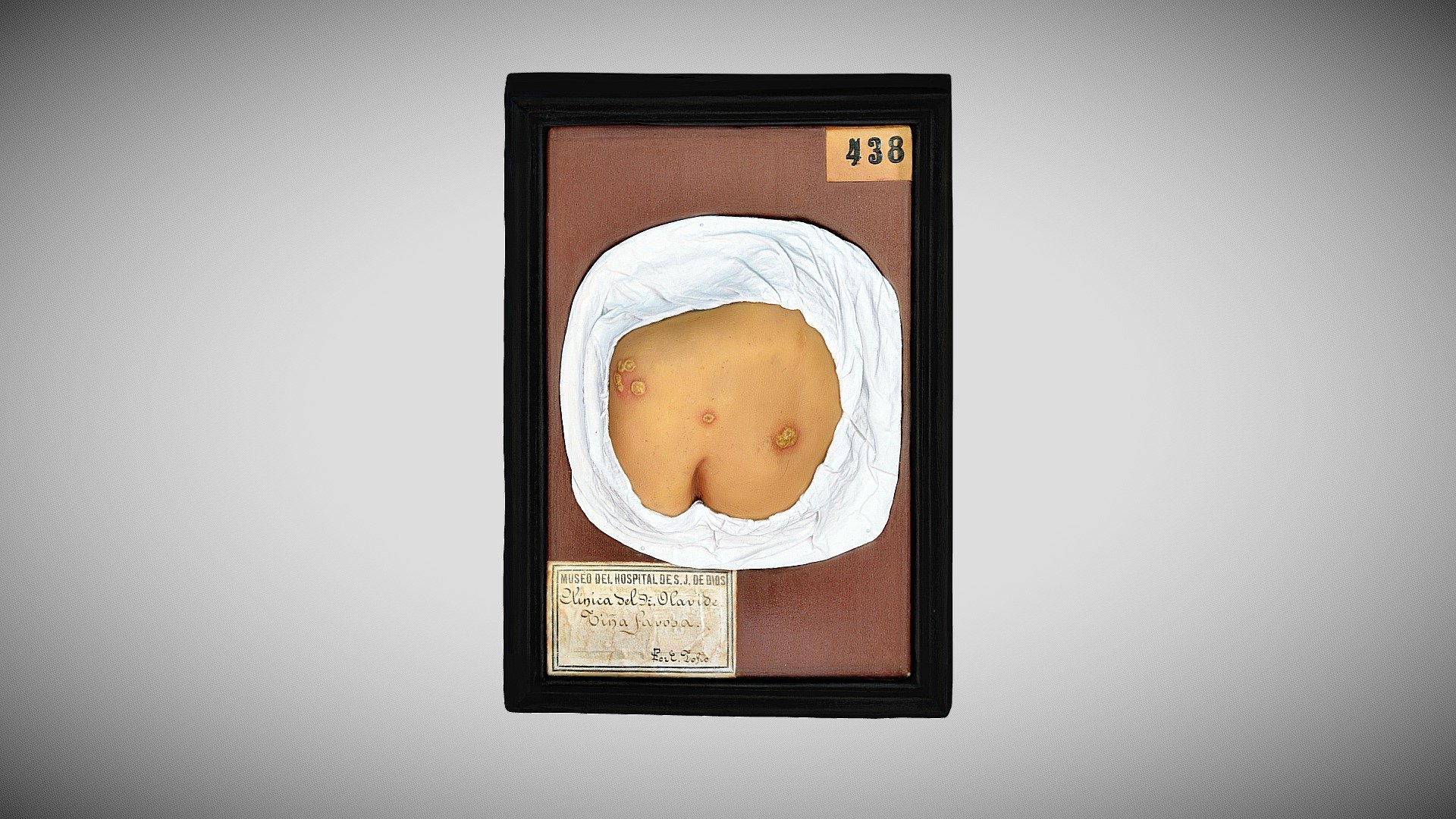 333 - 373 — Sketchfab embed 3D viewer