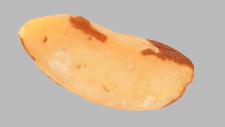 Brazil Nut - low poly 3D Model