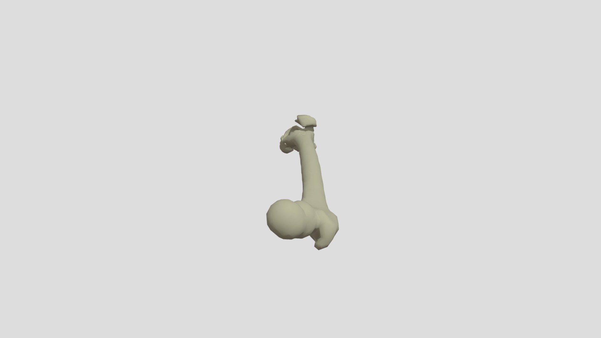 Femur R