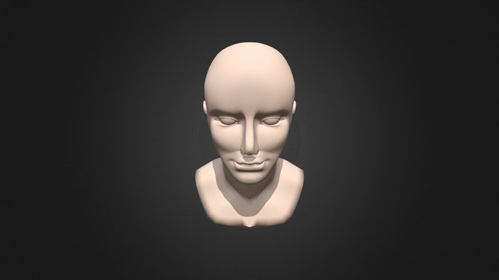 Modelado Cabeza Humana 3D Model