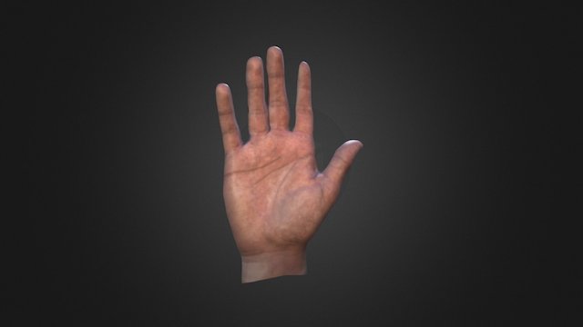 Palm of a hand 3D Model