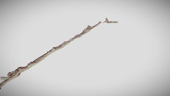 Traversée Grotte de l'Ours - Grotte du poteau 3D Model