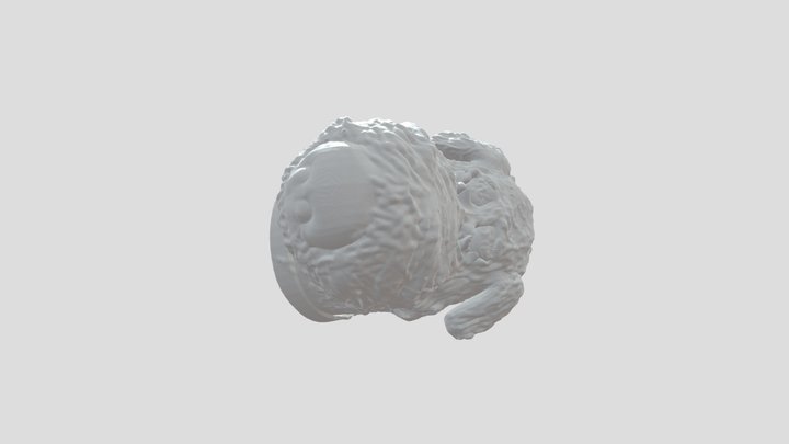 Brian Griffin Head 4 3D Printing