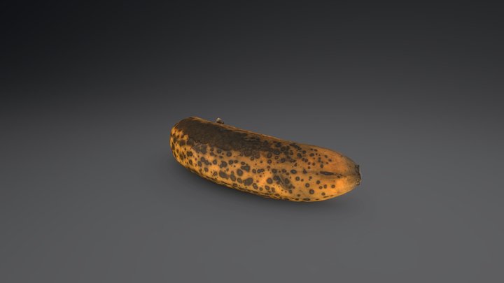 Nana 3D Model