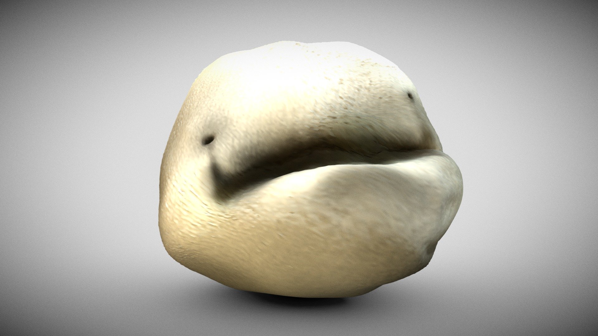 Whitey - BEAR (Alpha) - Download Free 3D model by spiffatron (@spiffatron)  [7a0e66d]