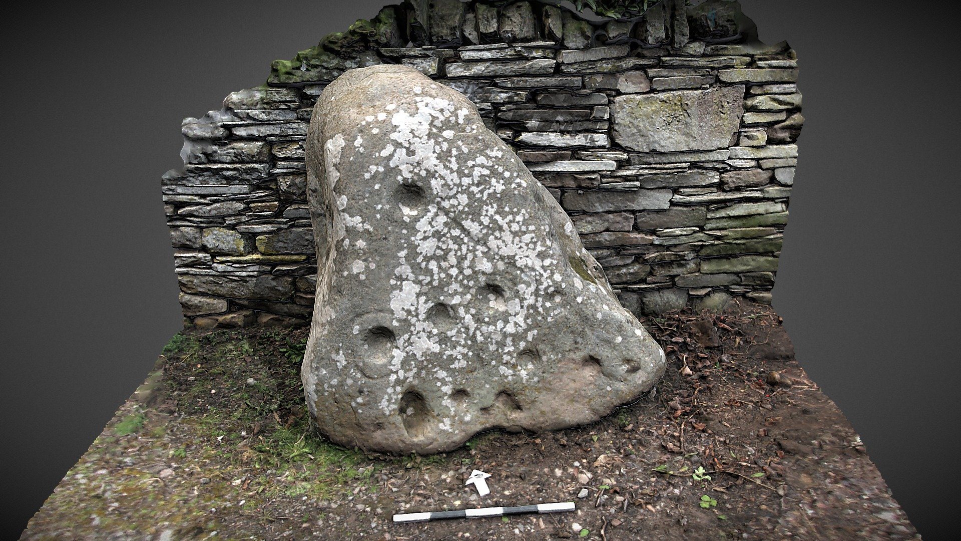 Mains Of Balgavies cup and ring marked stone