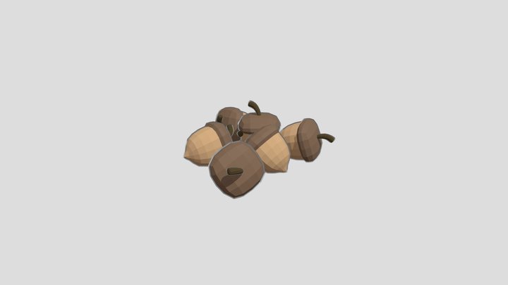 Acorn 3D Model