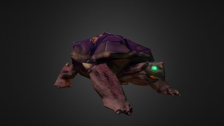 Western Lantern Tortoise 3D Model