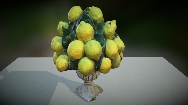 Lemons 3D Model