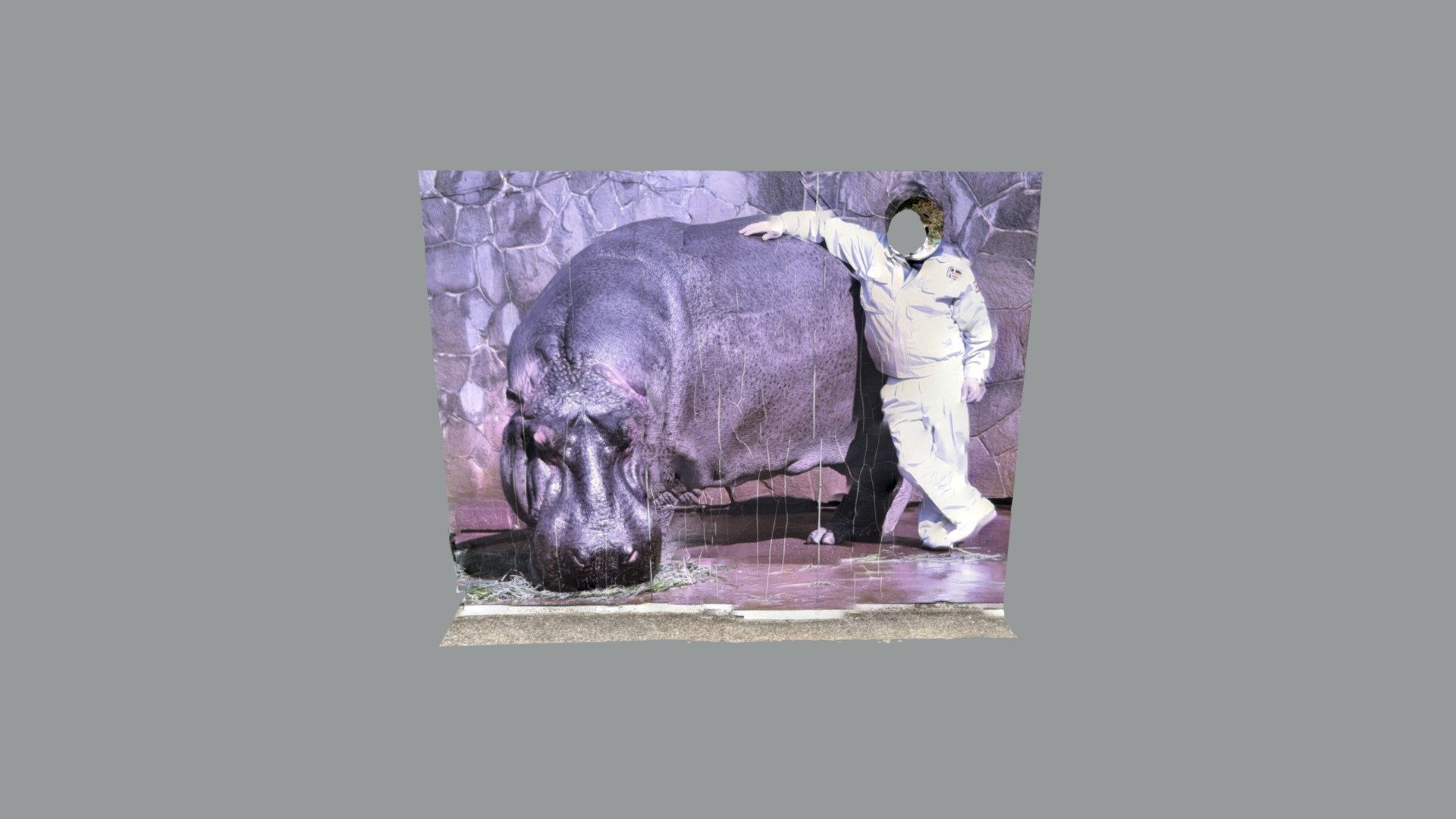 東山動物園のカバ顔出し看板