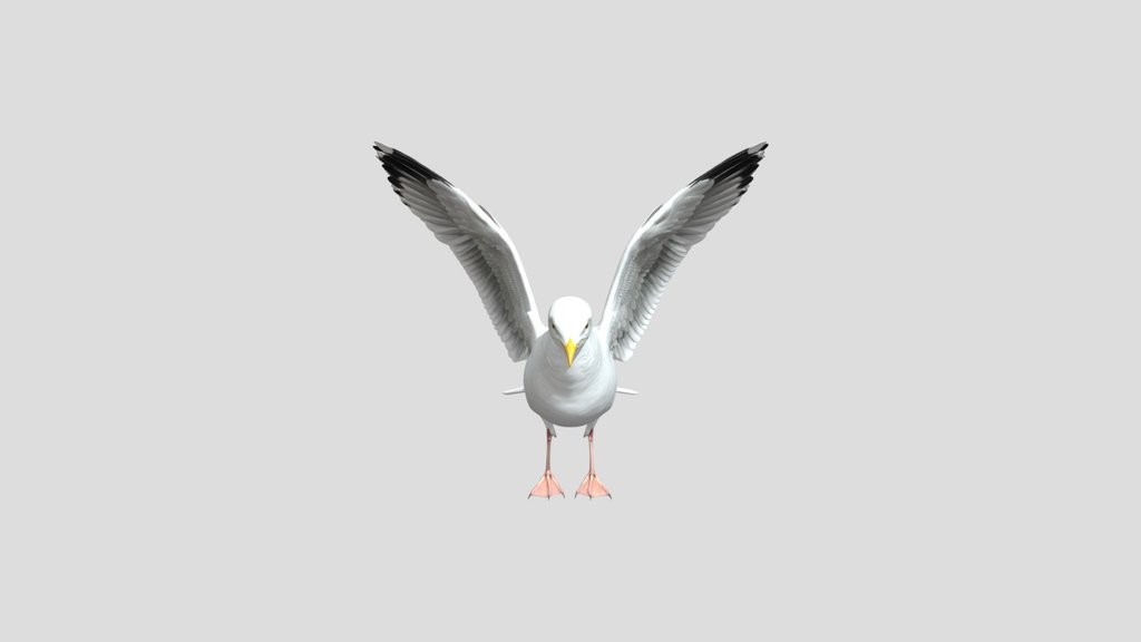 Seagull V1