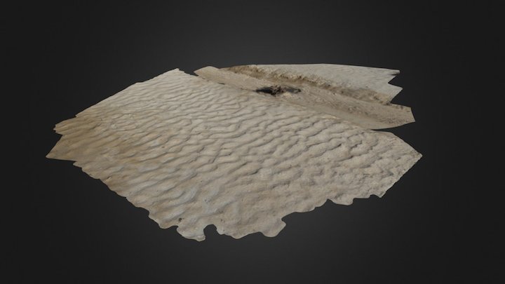 Ripplemarks near Castle Rock, Kansas 3D Model