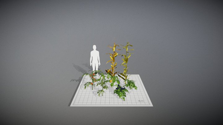 Harvest Garden Showcase 3D Model