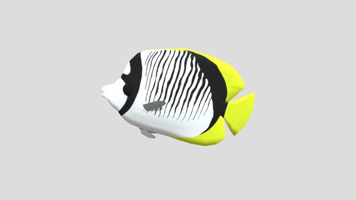 Lined Butterflyfish 3D Model