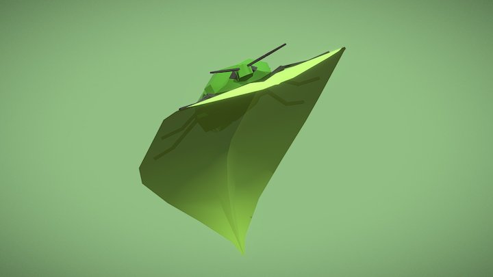 Leaf Bug
