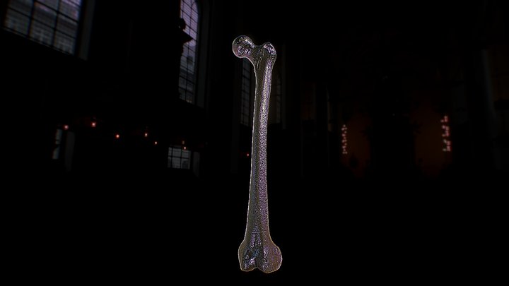 UD4 Femur 3D Model
